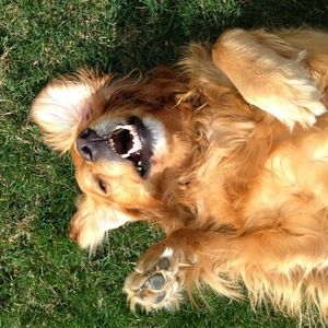 Meet your Posher, Hayley